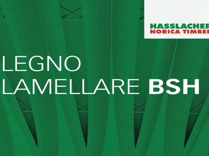 Lavorazione Legno Lamellare BSH