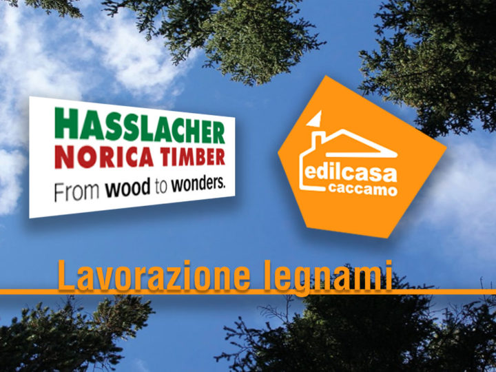 Lavorazione Legnami Hasslacher Norica Timber